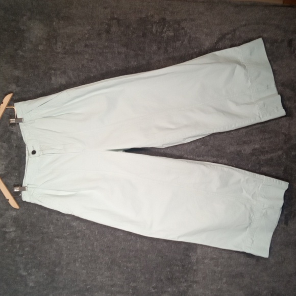 Everlane Mint Green Wide Leg High Waisted Pleated Womens Pants (Flawed) Size 10 - Picture 2 of 13